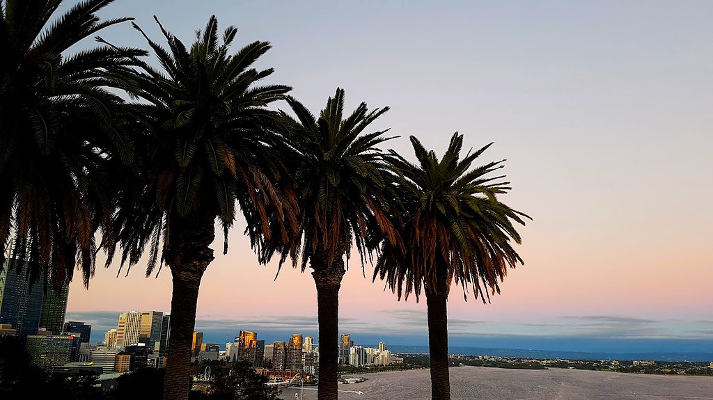 Palm trees and city skyline in Perth, Western Australia