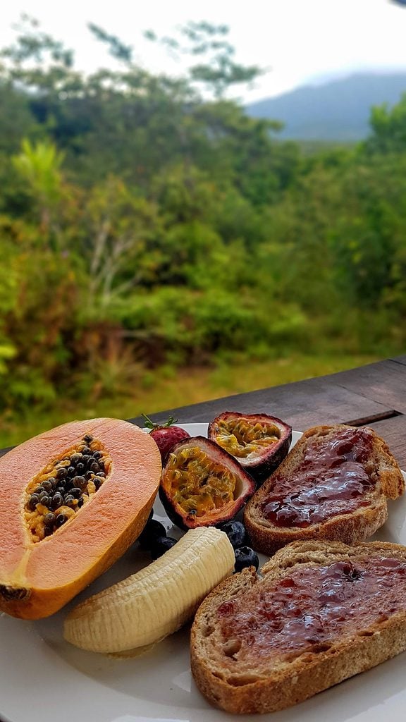 Locally grown eco-friendly fruit in the Daintree Rainforest